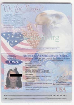 Us Passport Photoshop Template from www.wordpsd.com