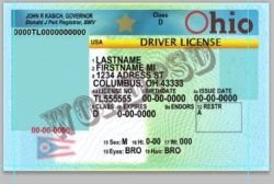 drivers license number generator ohio