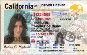 Template California Drivers License v4 | Template photoshop