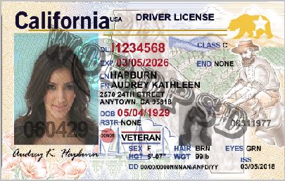 Template California Drivers License v4 | Template photoshop