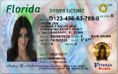 florida drivers license template download