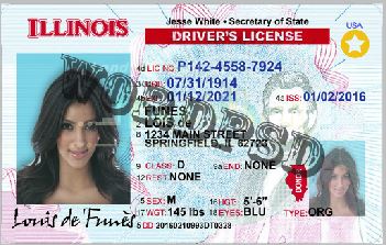 Template Illinois Drivers License v2 | Template photoshop
